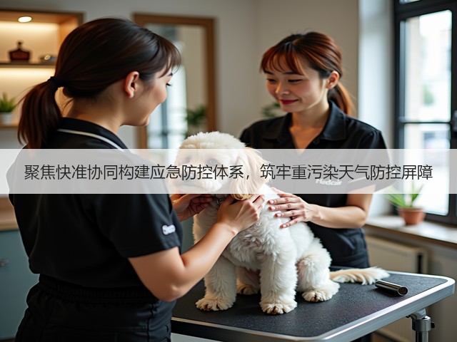 聚焦快准协同构建应急防控体系,筑牢重污染天气防控屏障(图2) 聚焦快准协同构建应急防控体系,筑牢重污染天气防控屏障(图2)