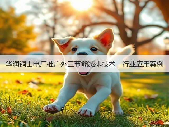 华润铜山电厂推广外三节能减排技术|行业应用案例(图3) 华润铜山电厂推广外三节能减排技术|行业应用案例(图3)