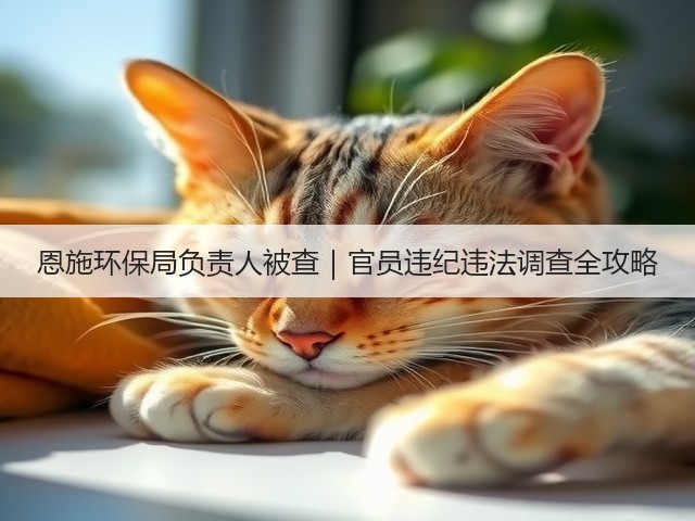 恩施环保局负责人被查｜官员违纪违法调查全攻略(图1)