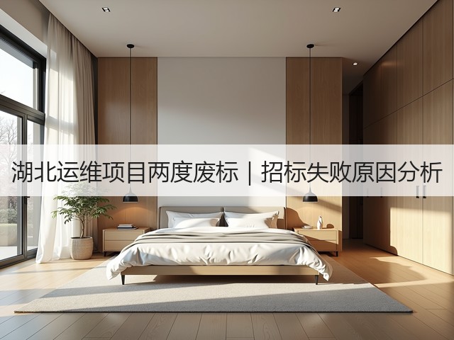 湖北运维项目两度废标｜招标失败原因分析(图3)