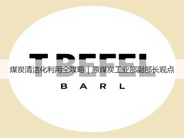 煤炭清洁化利用全攻略｜原煤炭工业部副部长观点(图1)