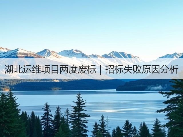 湖北运维项目两度废标｜招标失败原因分析(图1)