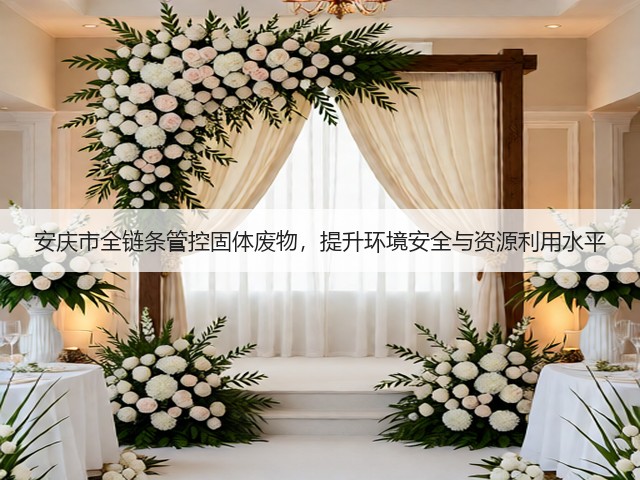 安庆市全链条管控固体废物，提升环境安全与资源利用水平(图3)