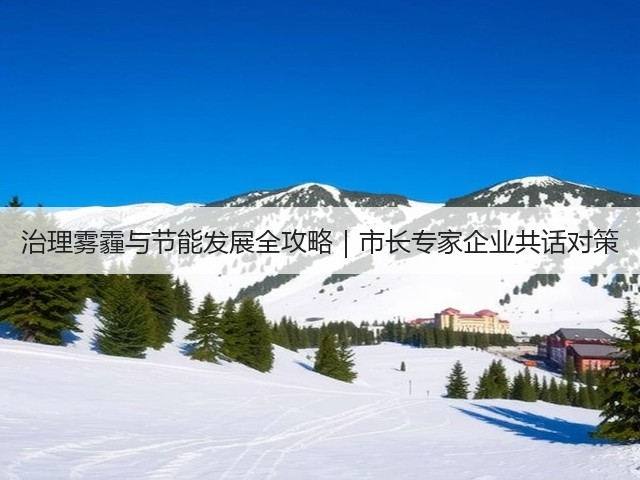 治理雾霾与节能发展全攻略｜市长专家企业共话对策(图3)