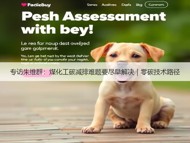 专访朱维群：煤化工碳减排难题要尽早解决｜零碳技术路径(图3)