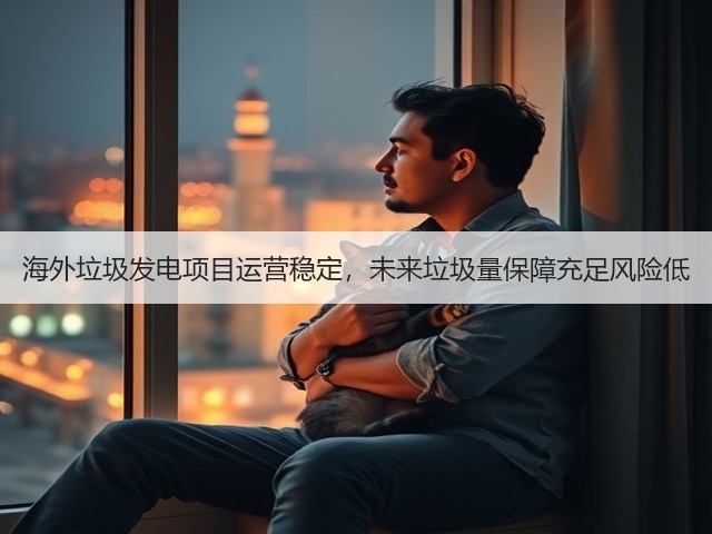 海外垃圾发电项目运营稳定，未来垃圾量保障充足风险低(图3)