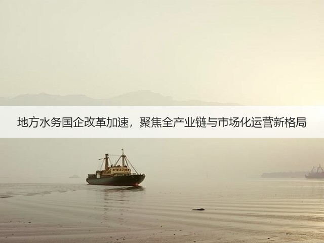 地方水务国企改革加速，聚焦全产业链与市场化运营新格局(图1)