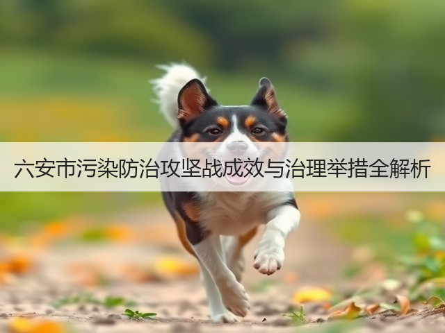六安市污染防治攻坚战成效与治理举措全解析(图2)