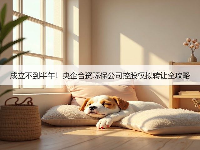 成立不到半年!央企合资环保公司控股权拟转让全攻略(图1) 成立不到半年!央企合资环保公司控股权拟转让全攻略(图1)