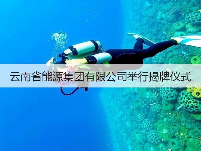 云南省能源集团有限公司举行揭牌仪式(图2)