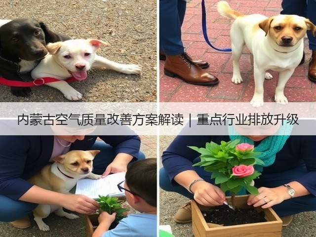 内蒙古空气质量改善方案解读｜重点行业排放升级(图1)