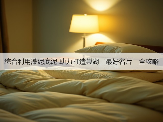 综合利用藻泥底泥 助力打造巢湖‘最好名片’全攻略(图1)