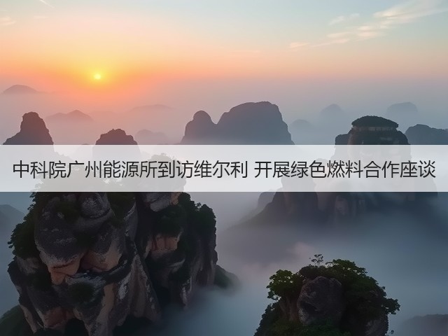 中科院广州能源所到访维尔利 开展绿色燃料合作座谈(图1)