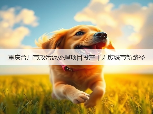 重庆合川市政污泥处理项目投产｜无废城市新路径(图1)