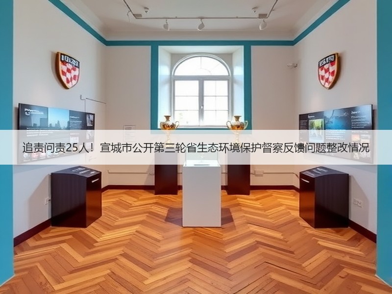 追责问责25人！宣城市公开第三轮省生态环境保护督察反馈问题整改情况