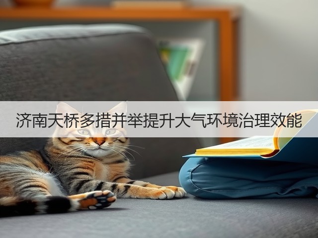 济南天桥多措并举提升大气环境治理效能(图1)