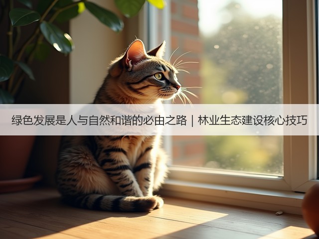 绿色发展是人与自然和谐的必由之路｜林业生态建设核心技巧(图1)