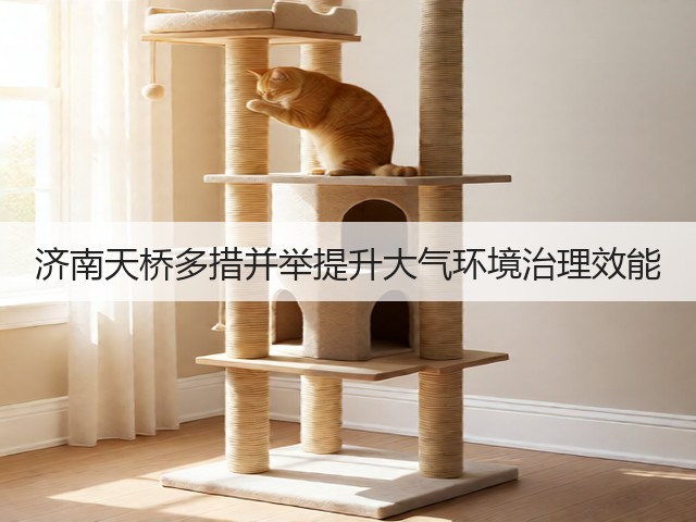 济南天桥多措并举提升大气环境治理效能(图2)