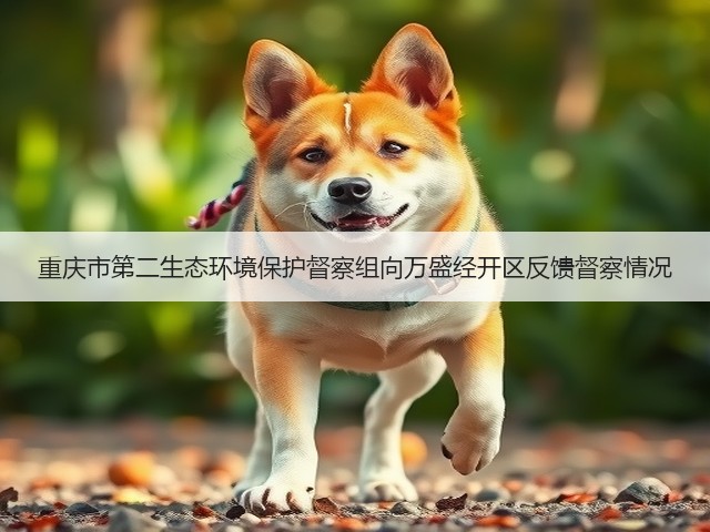 重庆市第二生态环境保护督察组向万盛经开区反馈督察情况(图1)