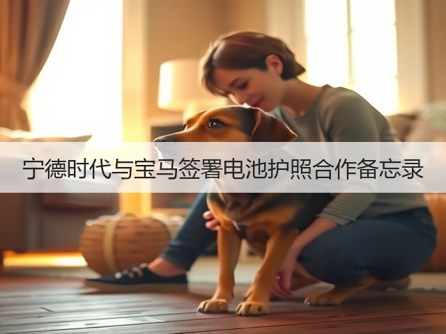 宁德时代与宝马签署电池护照合作备忘录(图2)