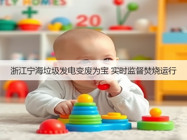 浙江宁海垃圾发电变废为宝 实时监督焚烧运行(图2)
