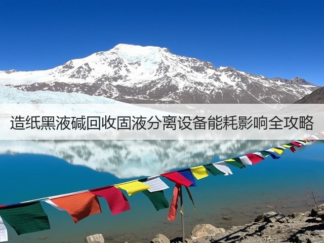 造纸黑液碱回收固液分离设备能耗影响全攻略(图3)