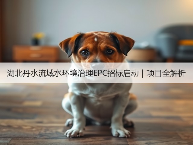 湖北丹水流域水环境治理EPC招标启动｜项目全解析(图3)