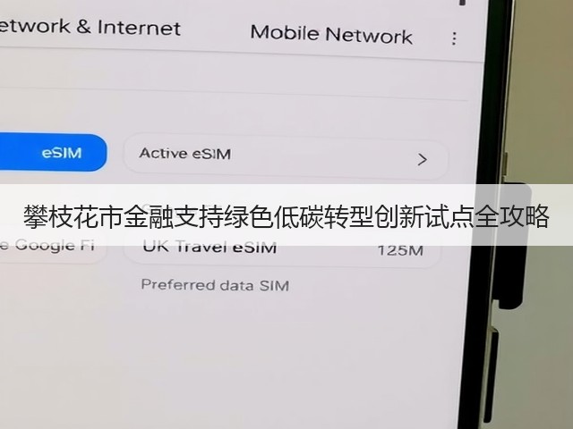 攀枝花市金融支持绿色低碳转型创新试点全攻略(图1)