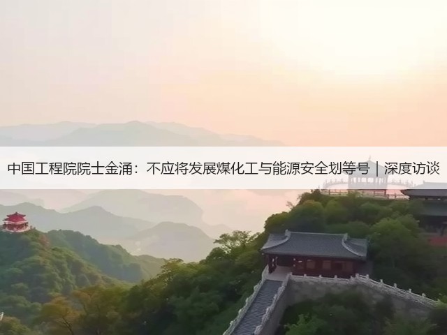 中国工程院院士金涌：不应将发展煤化工与能源安全划等号｜深度访谈(图1)