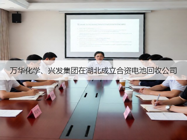 万华化学、兴发集团在湖北成立合资电池回收公司(图1)
