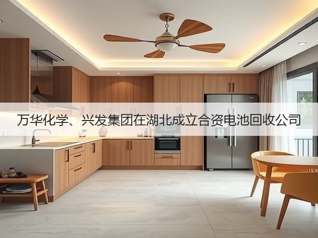 万华化学、兴发集团在湖北成立合资电池回收公司(图3)