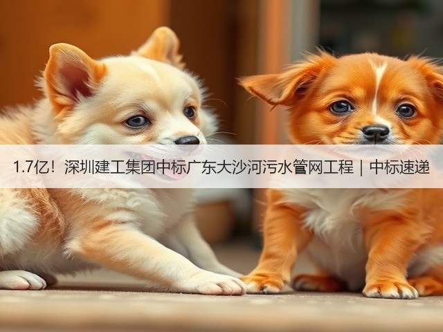 1.7亿！深圳建工集团中标广东大沙河污水管网工程｜中标速递(图3)