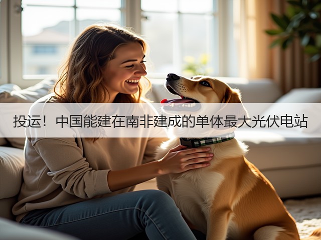 投运！中国能建在南非建成的单体最大光伏电站(图1)
