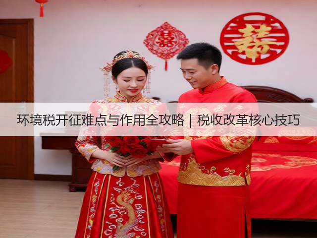 环境税开征难点与作用全攻略｜税收改革核心技巧(图1)