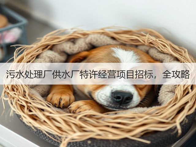 污水处理厂供水厂特许经营项目招标,全攻略(图1) 污水处理厂供水厂特许经营项目招标,全攻略(图1)