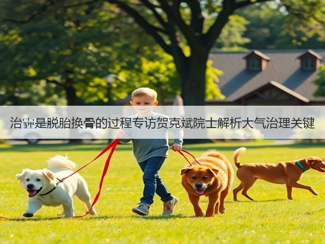 治霾是脱胎换骨的过程专访贺克斌院士解析大气治理关键(图1)