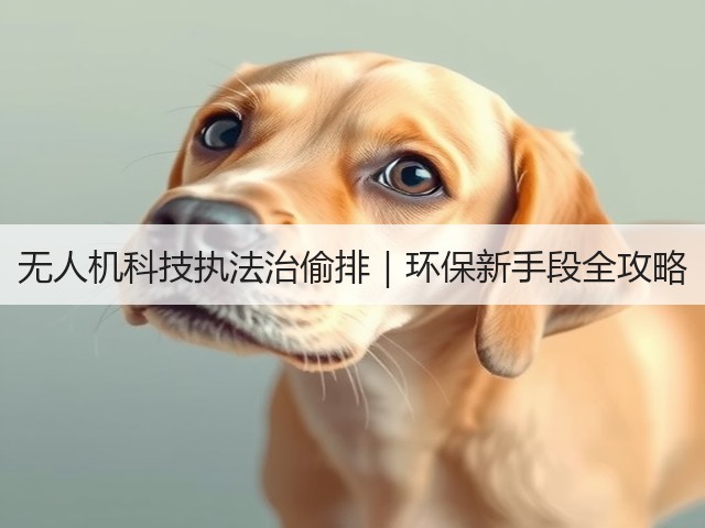 无人机科技执法治偷排|环保新手段全攻略(图3) 无人机科技执法治偷排|环保新手段全攻略(图3)