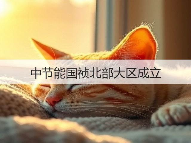 中节能国祯北部大区成立(图2)