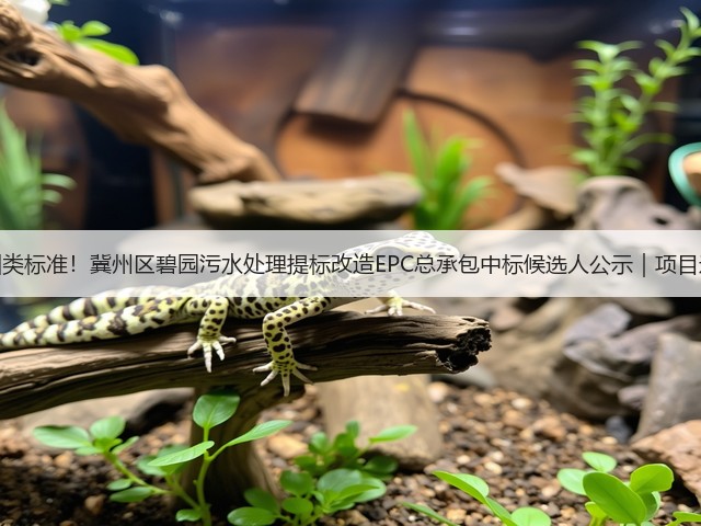 准四类标准！冀州区碧园污水处理提标改造EPC总承包中标候选人公示｜项目进展(图3)
