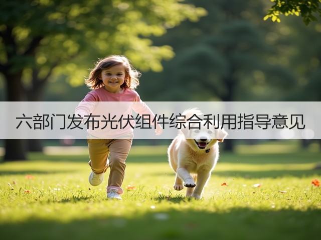 六部门发布光伏组件综合利用指导意见(图1)