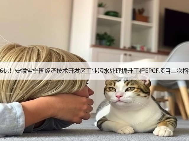 3.6亿！安徽省宁国经济技术开发区工业污水处理提升工程EPCF项目二次招标(图2)