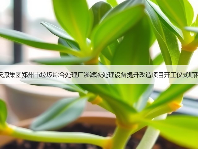 武汉天源集团郑州市垃圾综合处理厂渗滤液处理设备提升改造项目开工仪式顺利举行(图3)