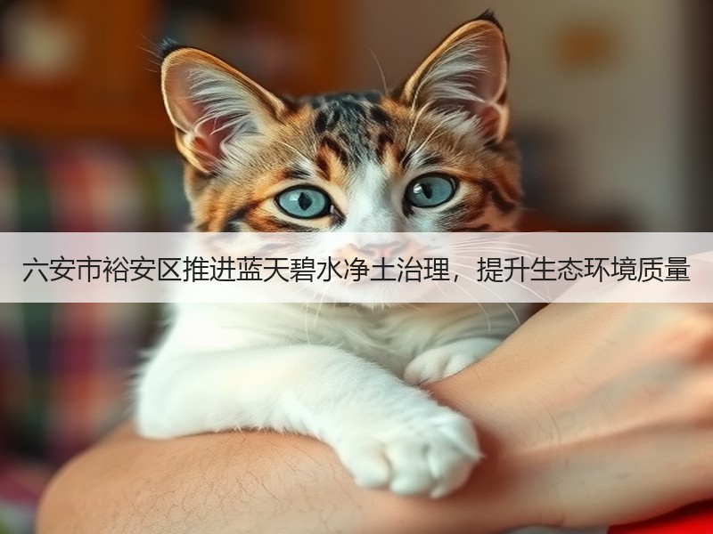 六安市裕安区推进蓝天碧水净土治理，提升生态环境质量