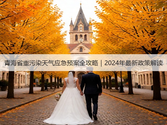 青海省重污染天气应急预案全攻略｜2024年最新政策解读(图1)