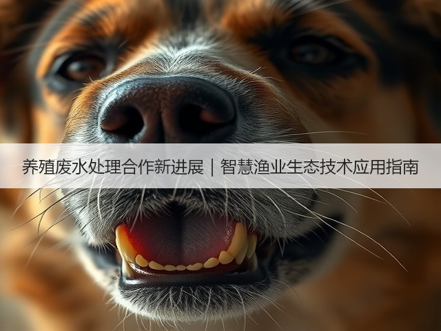 养殖废水处理合作新进展｜智慧渔业生态技术应用指南(图2)