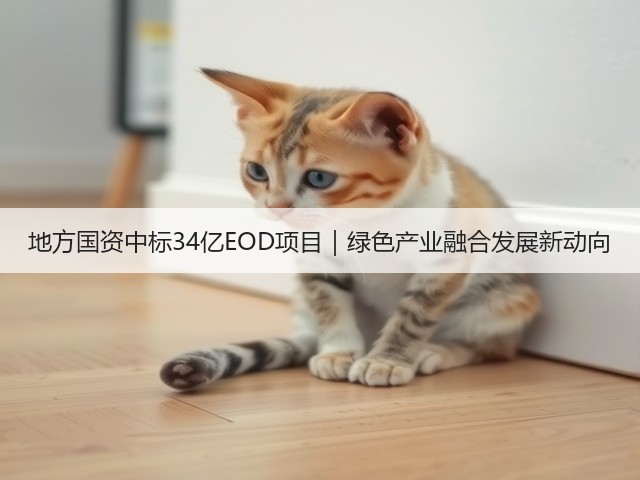 地方国资中标34亿EOD项目｜绿色产业融合发展新动向(图2)
