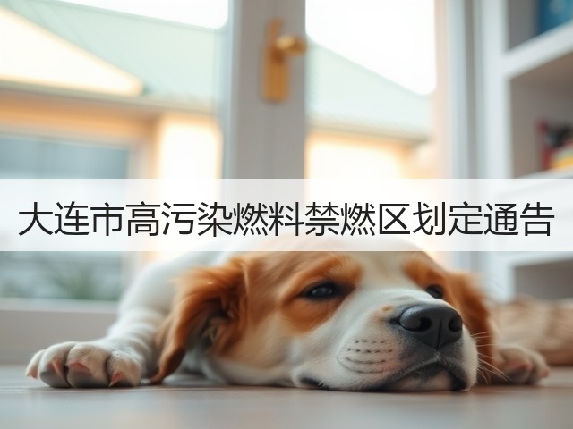 大连市高污染燃料禁燃区划定通告(图1)