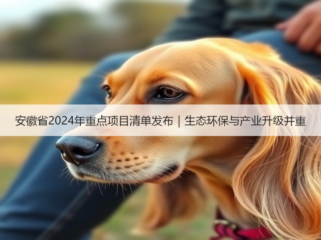 安徽省2024年重点项目清单发布|生态环保与产业升级并重(图2) 安徽省2024年重点项目清单发布|生态环保与产业升级并重(图2)
