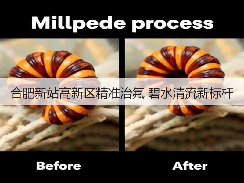 合肥新站高新区精准治氟 碧水清流新标杆