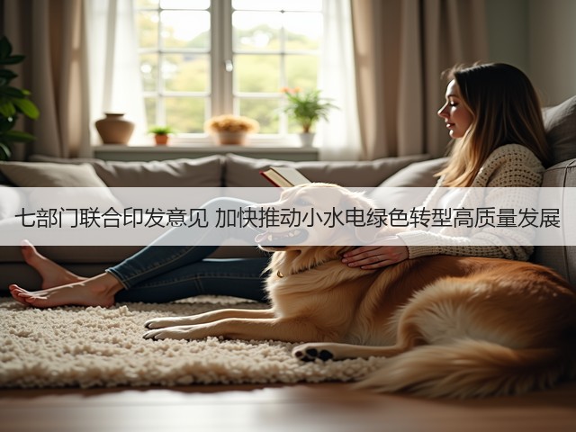 七部门联合印发意见 加快推动小水电绿色转型高质量发展(图3)